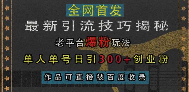 最新引流技巧揭秘，老平台爆粉玩法，单人单号日引300+创业粉，作品可直接被百度收录-玩备项目资源网