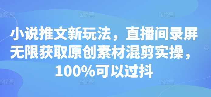 小说推文新玩法，直播间录屏无限获取原创素材混剪实操，100%可以过抖-玩备项目资源网
