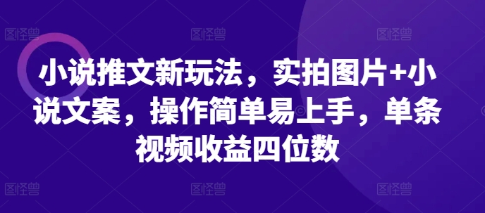 小说推文新玩法，实拍图片+小说文案，操作简单易上手，单条视频收益四位数-玩备项目资源网