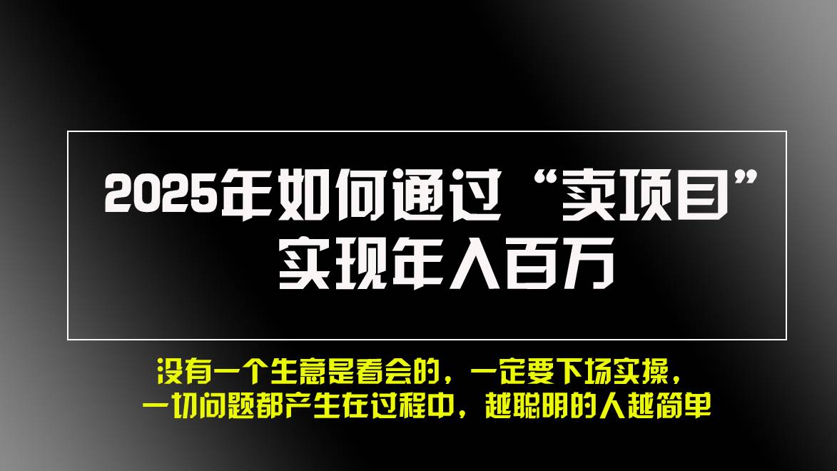 （13468期）2025年如何通过“卖项目”实现年入百万，做网赚必看！！-玩备项目资源网