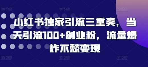小红书独家引流三重奏，当天引流100+创业粉，流量爆炸不愁变现【揭秘】-玩备项目资源网