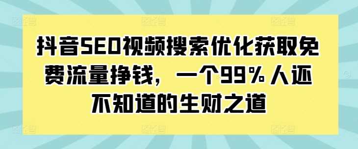 抖音SEO视频搜索优化获取免费流量挣钱，一个99%人还不知道的生财之道-玩备项目资源网
