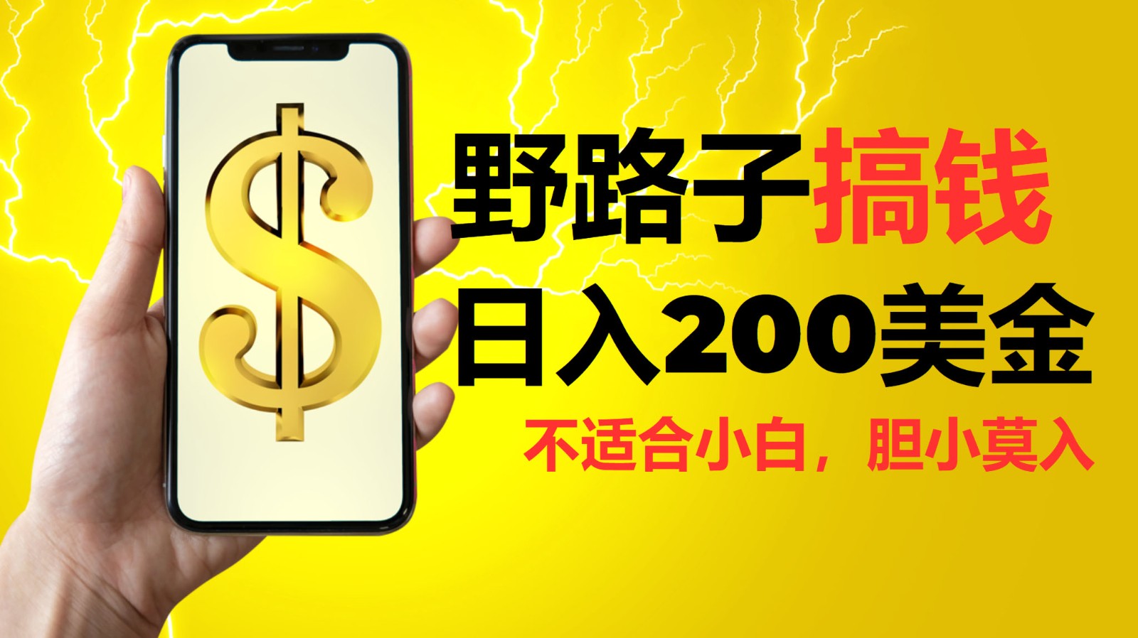 挂机野路子搞钱，日入200美金，路子很野，小白莫入-玩备项目资源网