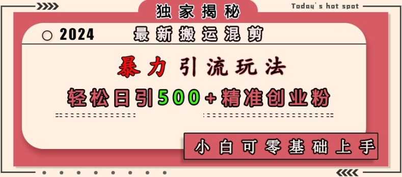 最新搬运混剪暴力引流玩法，轻松日引500+精准创业粉，小白可零基础上手-玩备项目资源网