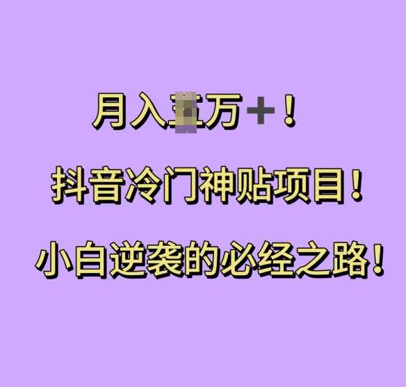 抖音冷门神贴项目，小白逆袭的必经之路，月入过W【揭秘】-玩备项目资源网