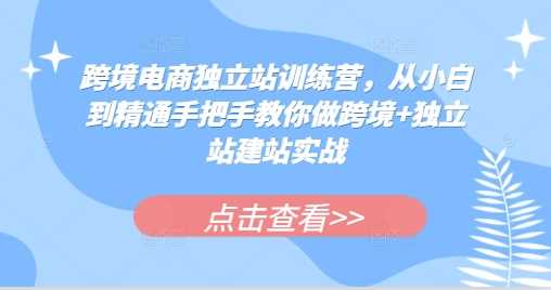 跨境电商独立站训练营，从小白到精通手把手教你做跨境+独立站建站实战-玩备项目资源网