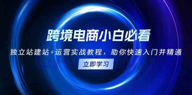 跨境电商小白必看！独立站建站+运营实战教程，助你快速入门并精通-玩备项目资源网
