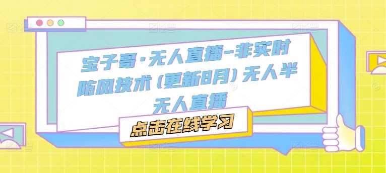 宝子哥·无人直播-非实时防风技术(更新11月)无人半无人直播-玩备项目资源网