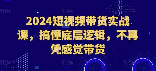 2024短视频带货实战课，搞懂底层逻辑，不再凭感觉带货-玩备项目资源网