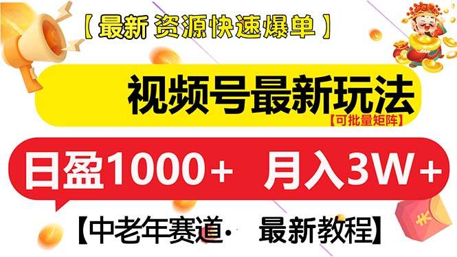 （13530期）视频号最新玩法 中老年赛道 月入3W+-玩备项目资源网
