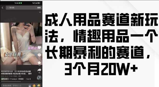成人用品赛道新玩法，情趣用品一个长期暴利的赛道，3个月收益20个【揭秘】-玩备项目资源网