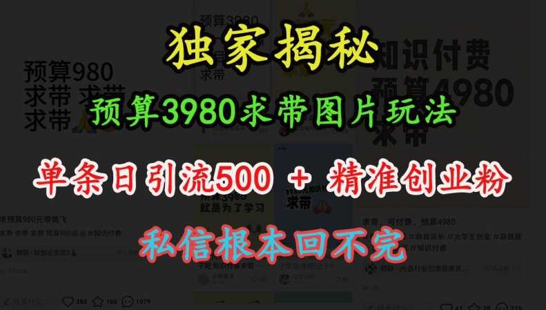 预算3980求带 图片玩法，单条日引流500+精准创业粉，私信根本回不完-玩备项目资源网