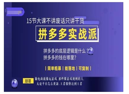 朋哥电商(拼多多实战派)，15节大课不讲废话只讲干货，简单粗暴 能落地 可复制-玩备项目资源网