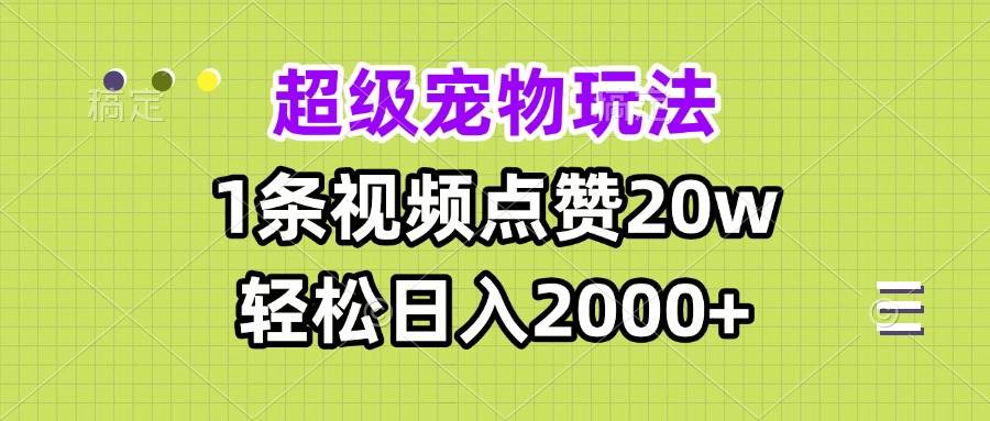 （13578期）超级宠物视频玩法，1条视频点赞20w，轻松日入2000+-玩备项目资源网