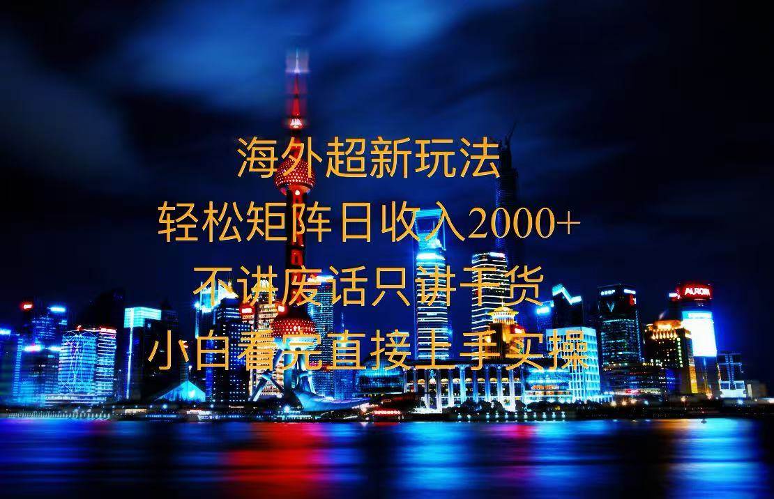（13583期）2025全新海外暴力玩法，操作简单，小白轻松上手-玩备项目资源网