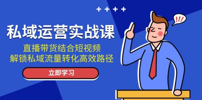 （13587期）私域运营实战课：直播带货结合短视频，解锁私域流量转化高效路径-玩备项目资源网