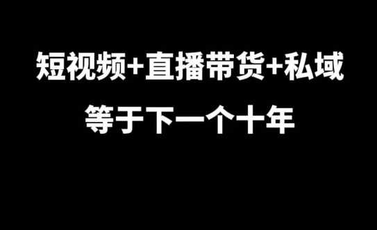 短视频+直播带货+私域等于下一个十年，大佬7年实战经验总结-玩备项目资源网