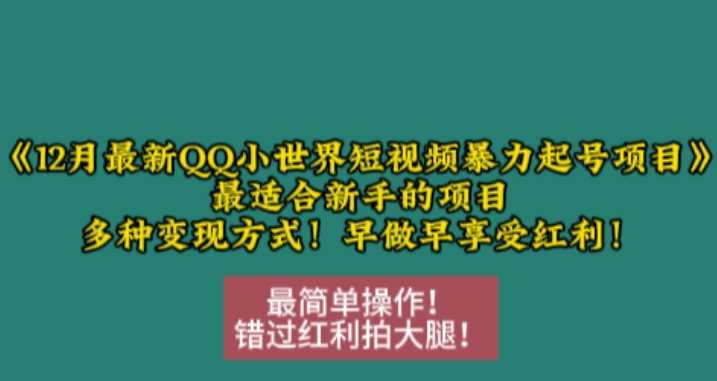 12月最新QQ小世界短视频暴力起号项目，最适合新手的项目，多种变现方式-玩备项目资源网