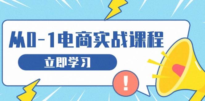 （13594期）从零做电商实战课程，教你如何获取访客、选品布局，搭建基础运营团队-玩备项目资源网