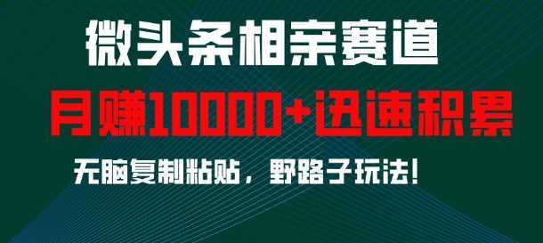 微头条相亲赛道，迅速积累，无脑复制粘贴，野路子玩法，月入1w-玩备项目资源网