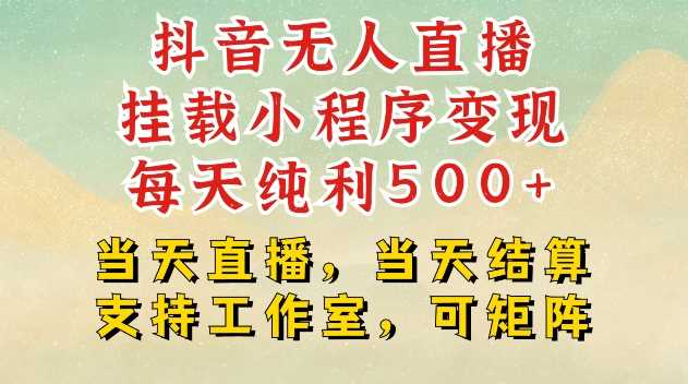 抖音无人直播挂载小程序变现每天纯利500+当天直播，当天结算支持工作室，可矩阵【揭秘】-玩备项目资源网