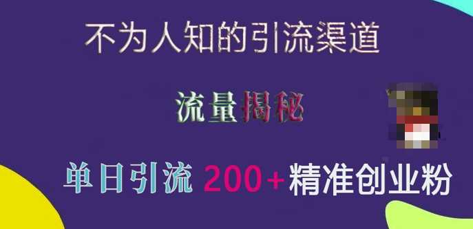 不为人知的引流渠道，流量揭秘，实测单日引流200+精准创业粉【揭秘】-玩备项目资源网
