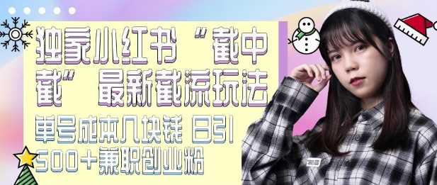 最新小红书截流玩法 独家截中截 单号成本几块钱 日引500+CY粉JZ粉-玩备项目资源网