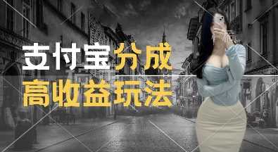 支付宝分成计划新玩法，利用交通事故视频，赚收益，轻松月入过W，操作简单【揭秘】-玩备项目资源网