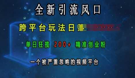 全新引流风口，跨平台玩法日入上k，单日狂揽200+精准创业粉，一个被严重忽略的视频平台-玩备项目资源网
