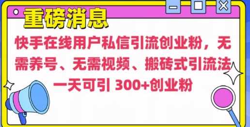 快手最新引流创业粉方法，无需养号、无需视频、搬砖式引流法【揭秘】-玩备项目资源网