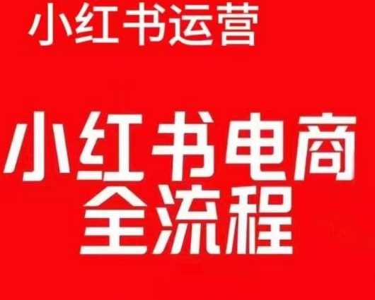 红薯电商实操课，小红书电商全流程-玩备项目资源网