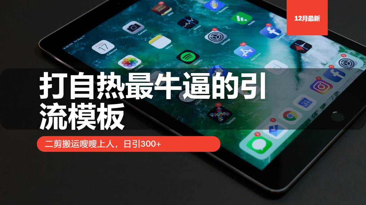 （13654期）打自热最牛逼的引流模板，二剪搬运嗖嗖上人，日引300+-玩备项目资源网