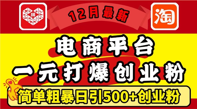 12月最新：电商平台1元打爆创业粉，简单粗暴日引500+精准创业粉，轻松月入过W【揭秘】-玩备项目资源网