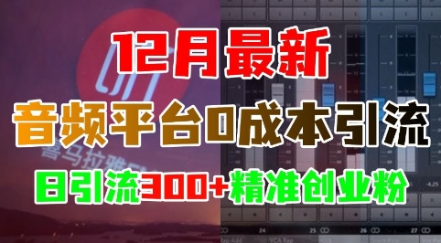 12月最新：音频平台0成本引流，日引流300+精准创业粉-玩备项目资源网