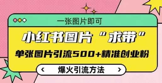 小红书图片‘求带’爆火引流法，单张图片引流500+精准创业粉【揭秘】-玩备项目资源网