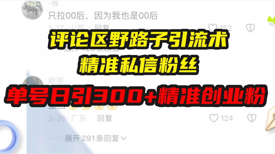（13676期）评论区野路子引流术，精准私信粉丝，单号日引流300+精准创业粉-玩备项目资源网