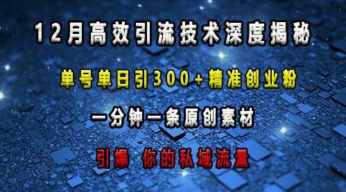 最新高效引流技术深度揭秘 ，单号单日引300+精准创业粉，一分钟一条原创素材，引爆你的私域流量-玩备项目资源网