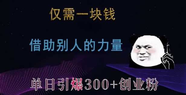 仅需一块钱，借助别人的力量，单日引爆300+创业粉、兼职粉【揭秘】-玩备项目资源网