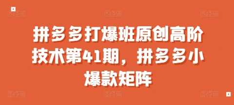 拼多多打爆班原创高阶技术第41期，拼多多小爆款矩阵-玩备项目资源网