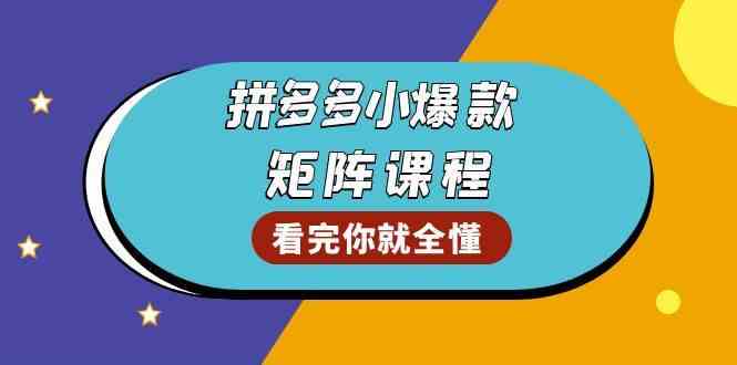 拼多多爆款矩阵课程：教你测出店铺爆款，优化销量，提升GMV，打造爆款群-玩备项目资源网