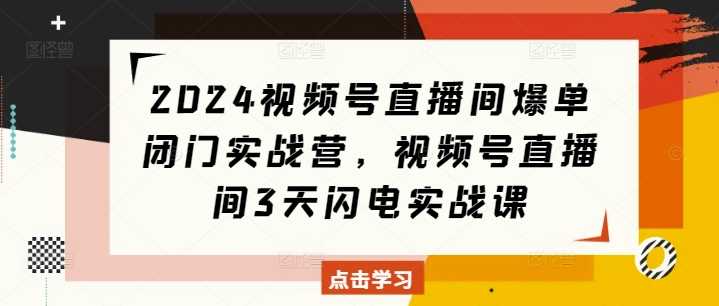 2024视频号直播间爆单闭门实战营，视频号直播间3天闪电实战课-玩备项目资源网