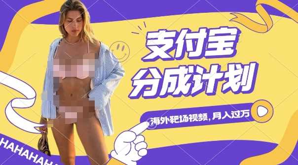 利用海外靶场射击视频，挣支付宝分成收益，轻松月入过W【揭秘】-玩备项目资源网