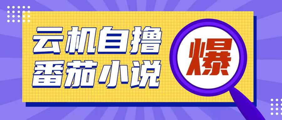首发云手机自撸小说玩法，10块钱成本可撸200+收益操作简单【揭秘】-玩备项目资源网
