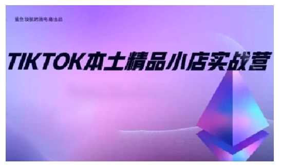 TikTok本土精品小店出海实战营，从入门到高阶，不止0-1!-玩备项目资源网