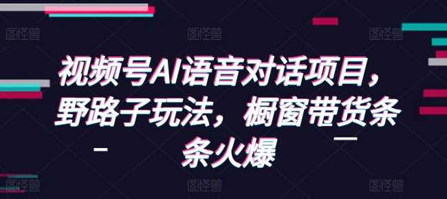 视频号AI语音对话项目，野路子玩法，橱窗带货条条火爆-玩备项目资源网