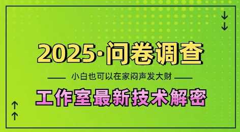 2025问卷调查最新工作室技术解密：一个人在家也可以闷声发大财，小白一天2张，可矩阵放大【揭秘】-玩备项目资源网