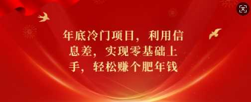 年底冷门项目，利用信息差，实现零基础上手，轻松赚个肥年钱【揭秘】-玩备项目资源网
