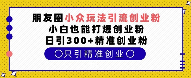 朋友圈小众玩法引流创业粉，小白也能打爆创业粉，日引300+精准创业粉【揭秘】-玩备项目资源网