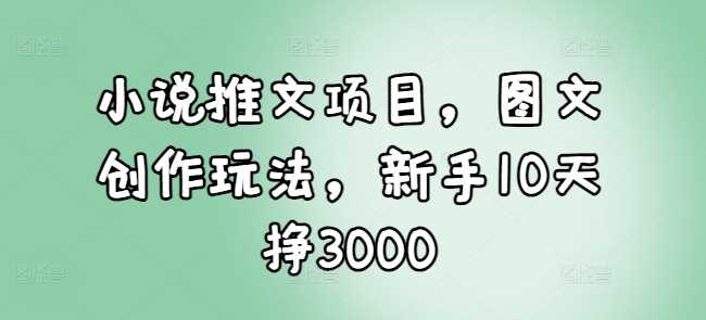 小说推文项目，图文创作玩法，新手10天挣3000-玩备项目资源网
