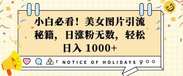小白必看，美女图片引流秘籍，日涨粉无数，轻松日入几张【揭秘】-玩备项目资源网